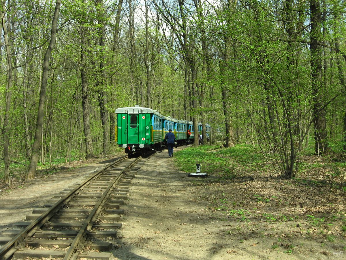 Незапланированная остановка перед ст. Лесопарк