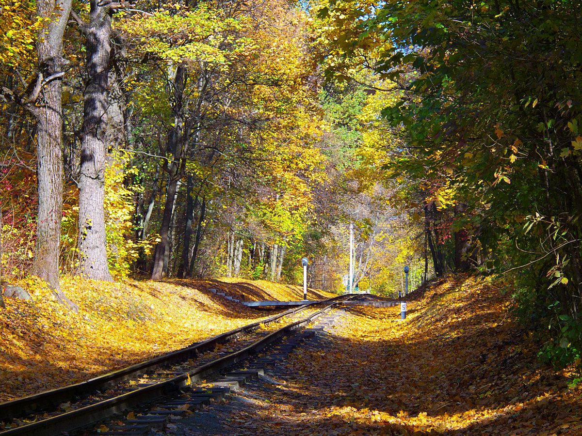 Перегон