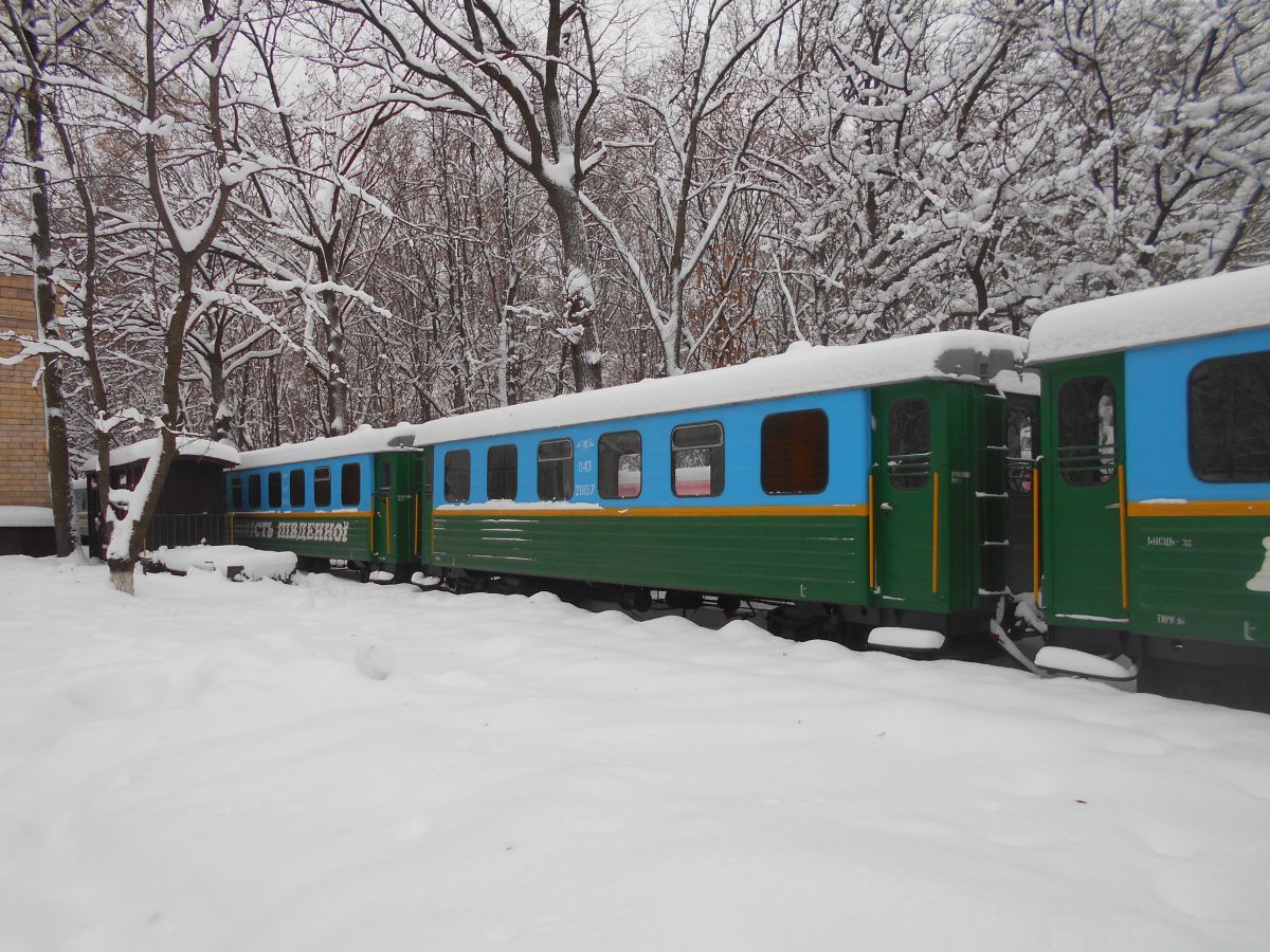 Вагоны на ст. Парк