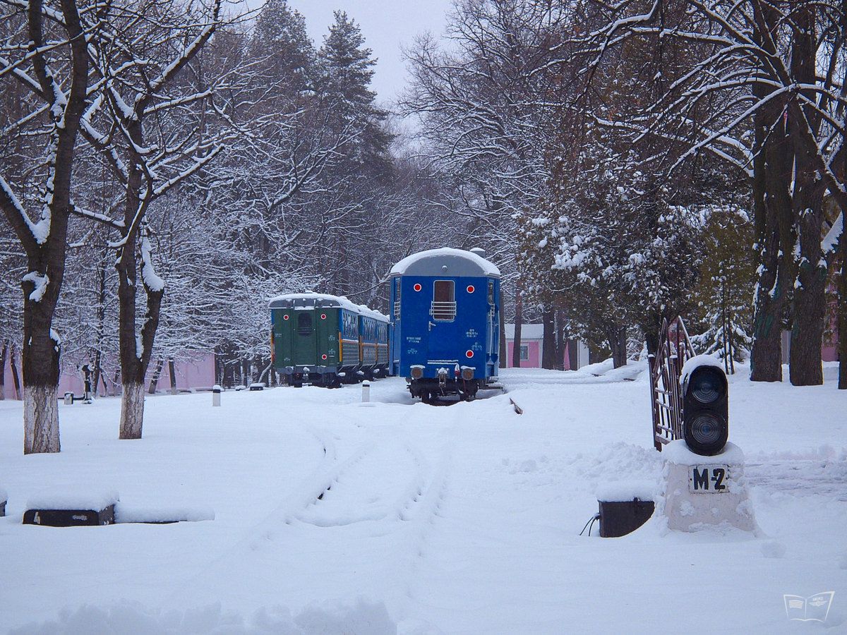 Составы на ст. Парк