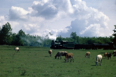 Кв4-039 на узкоколейной ж.д. около села Михайловка, Винницкая область