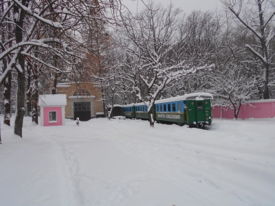 Вагоны на ст. Парк