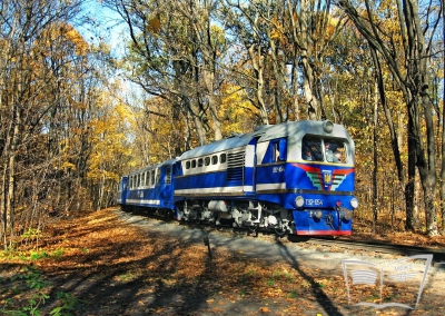 ТУ2-054 с составом на перегоне