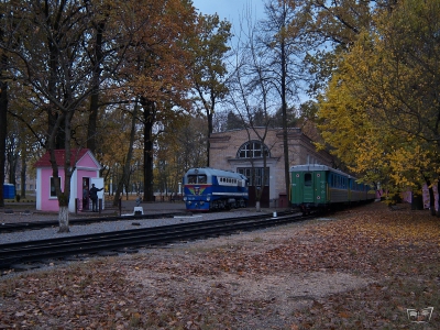 Вид на депо и тупики ст. Парк