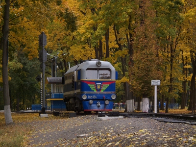 ТУ2-054 маневрирует на ст. Парк